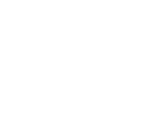 image not found