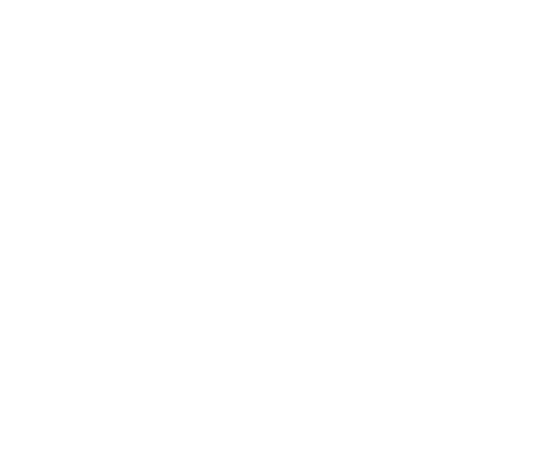 image not found